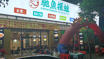 驰鱼探蛙案例003